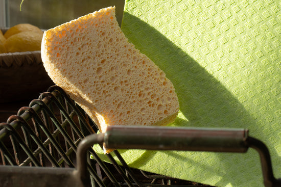 Biodegradable Dish Sponge