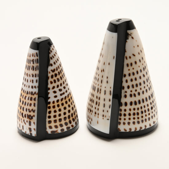 Shell Salt & Pepper Shaker Set