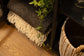 British Wool Throw