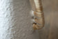 Rattan Wrapped Handle Vase - Large