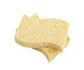 Biodegradable Dish Sponge